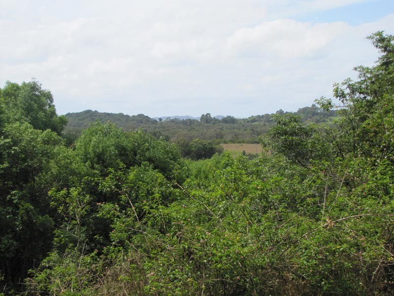 Lot 55 Foxs Lane, Tyagarah NSW 2481