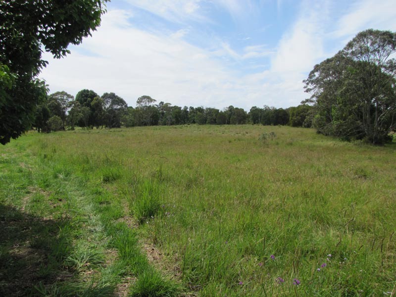 Lot 55 Foxs Lane, Tyagarah NSW 2481