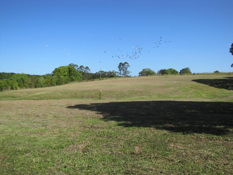 46 May Street, Dunoon NSW 2480