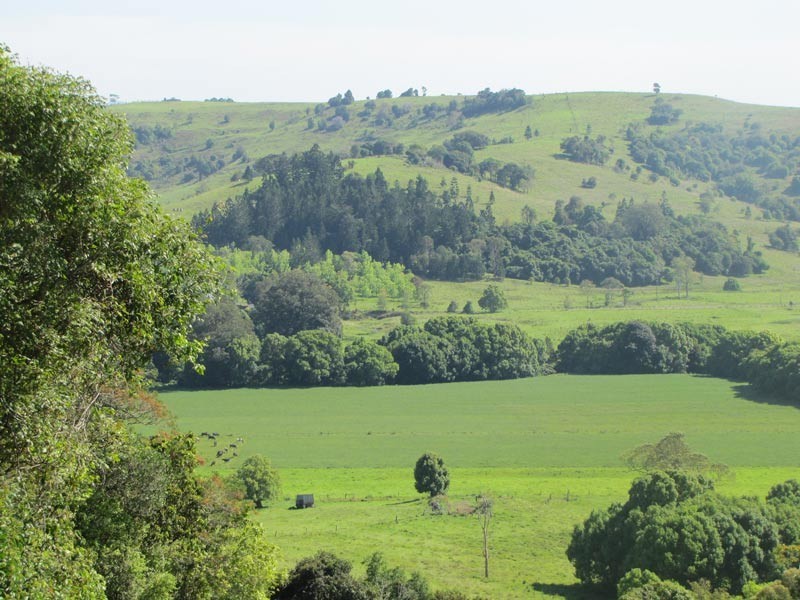 30 Julieanne Place, Bexhill NSW 2480