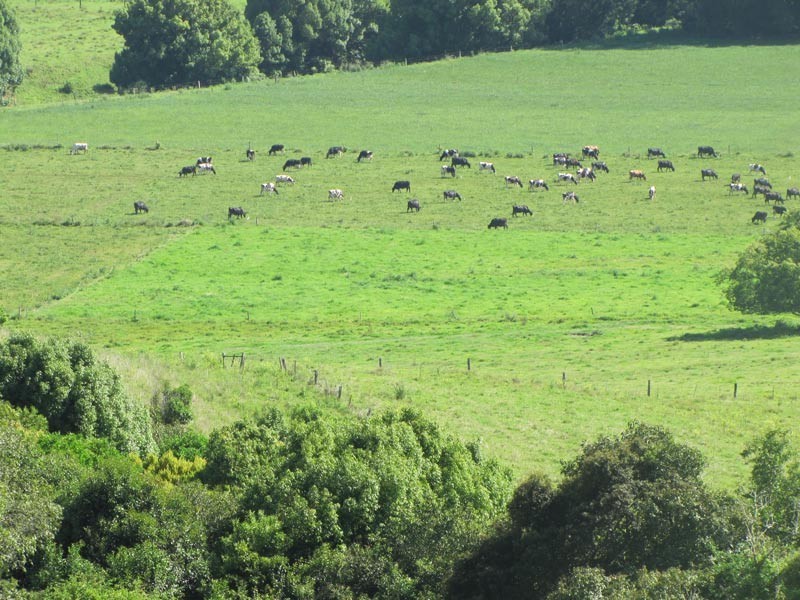 30 Julieanne Place, Bexhill NSW 2480