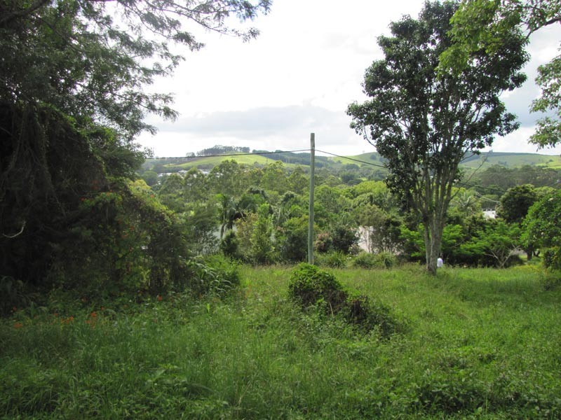 27 Campbell Lane, Bangalow NSW 2479