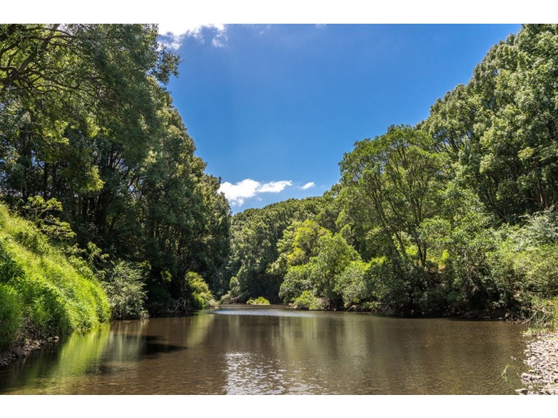 316 Kings Road, Federal NSW 2480