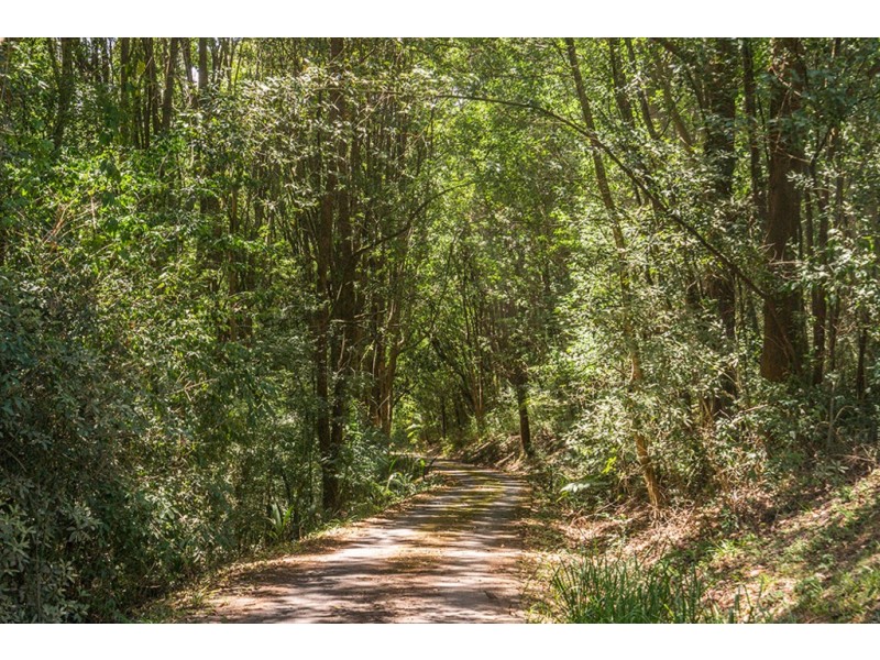 316 Kings Road, Federal NSW 2480