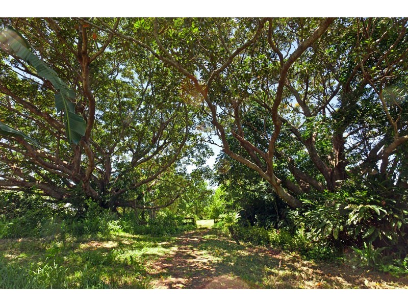 403 Binna Burra Road, Federal NSW 2480