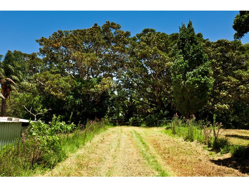 403 Binna Burra Road, Federal NSW 2480