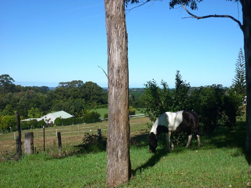 Brooklet NSW 2479