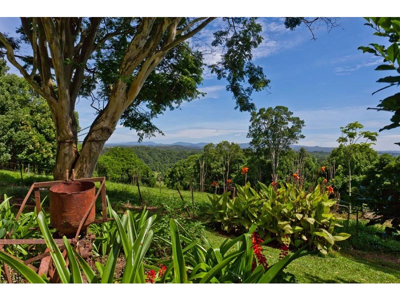 122 Elliott Road, Clunes NSW 2480