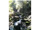 Lot6 /247 off Coopers Shoot Road, Coopers Shoot NSW 2479