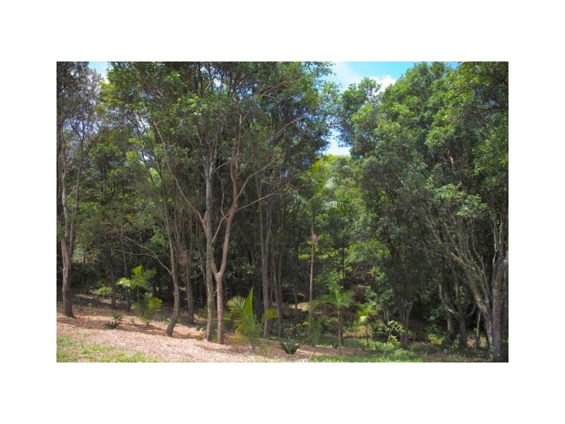 Lot6 /247 off Coopers Shoot Road, Coopers Shoot NSW 2479