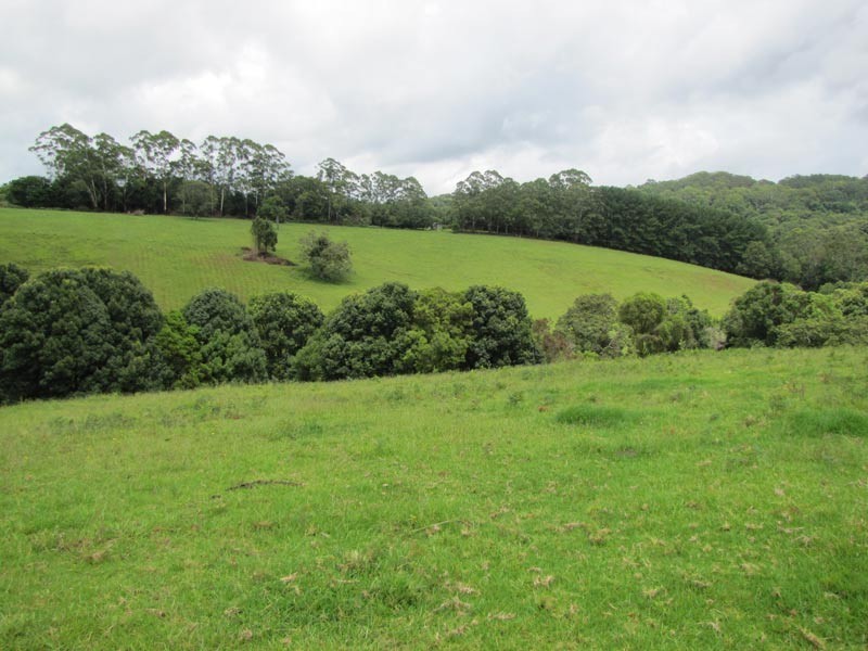 714 Whian Whian Road, Whian Whian NSW 2480