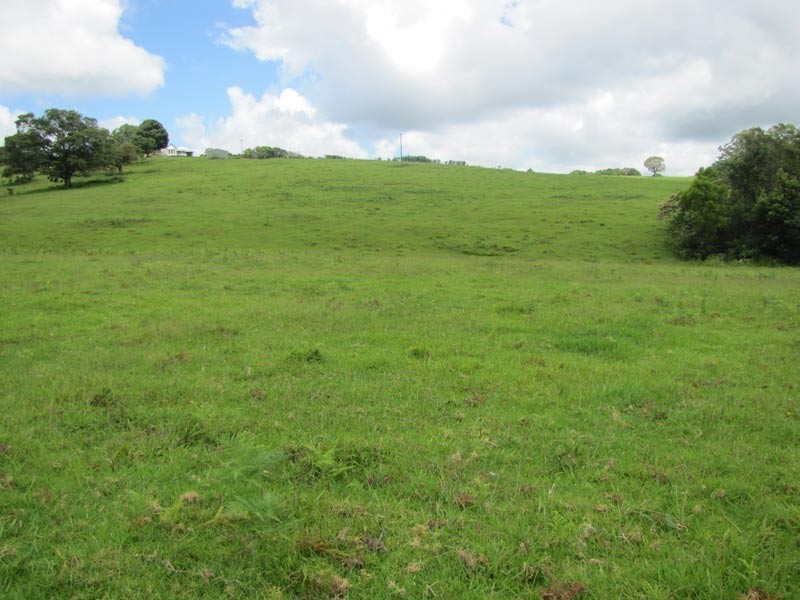 714 Whian Whian Road, Whian Whian NSW 2480