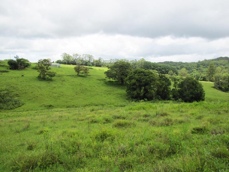 714 Whian Whian Road, Whian Whian NSW 2480