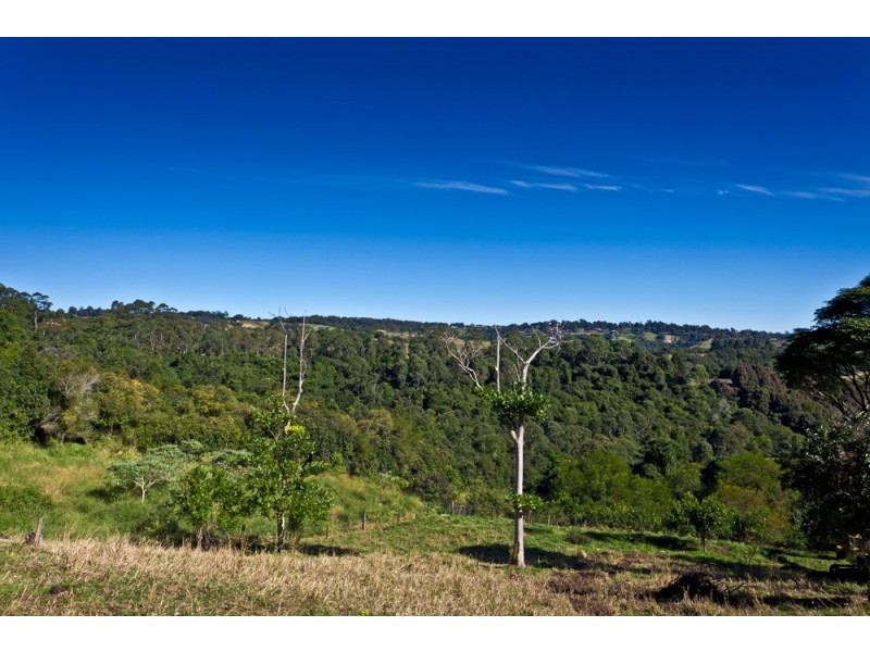 187 Cameron Road, Mcleans Ridges NSW 2480