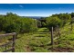 187 Cameron Road, Mcleans Ridges NSW 2480
