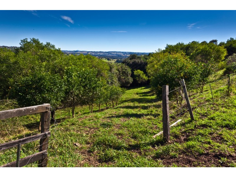 187 Cameron Road, Mcleans Ridges NSW 2480