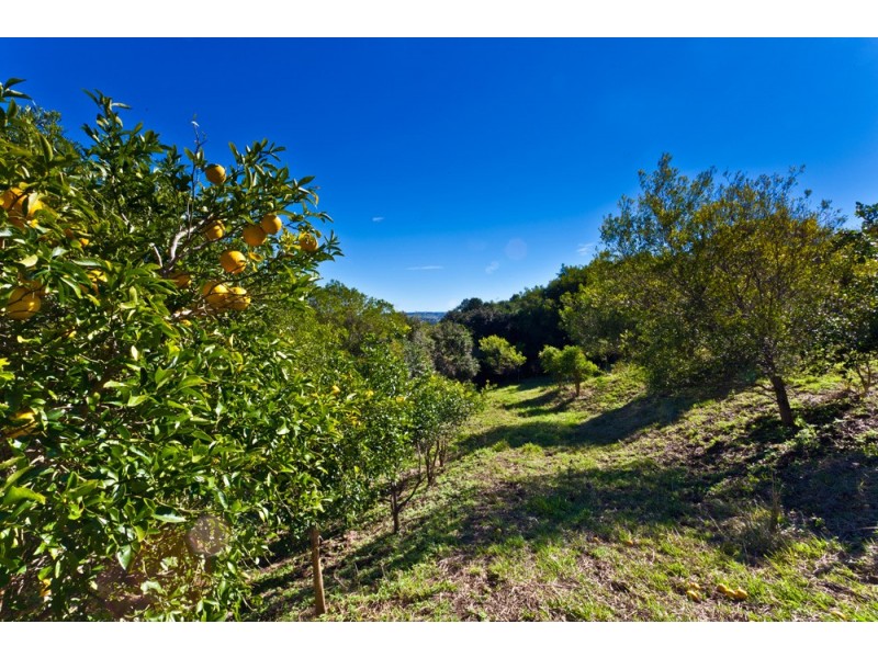 187 Cameron Road, Mcleans Ridges NSW 2480