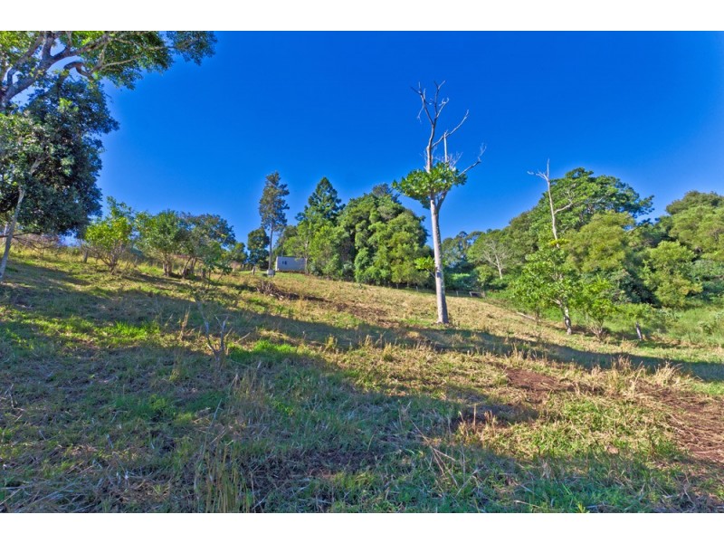 187 Cameron Road, Mcleans Ridges NSW 2480