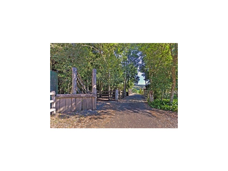 187 Cameron Road, Mcleans Ridges NSW 2480