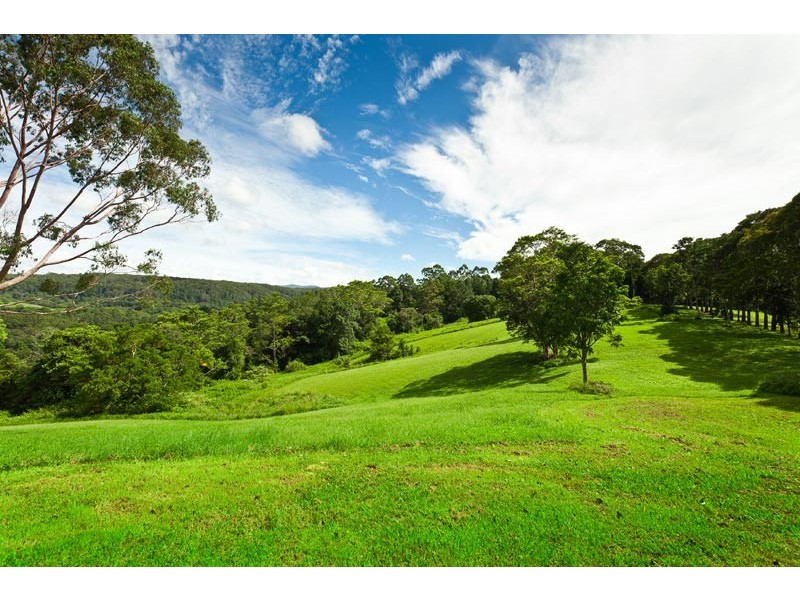 2466 Dunoon Road, Rosebank NSW 2480