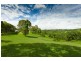 2466 Dunoon Road, Rosebank NSW 2480