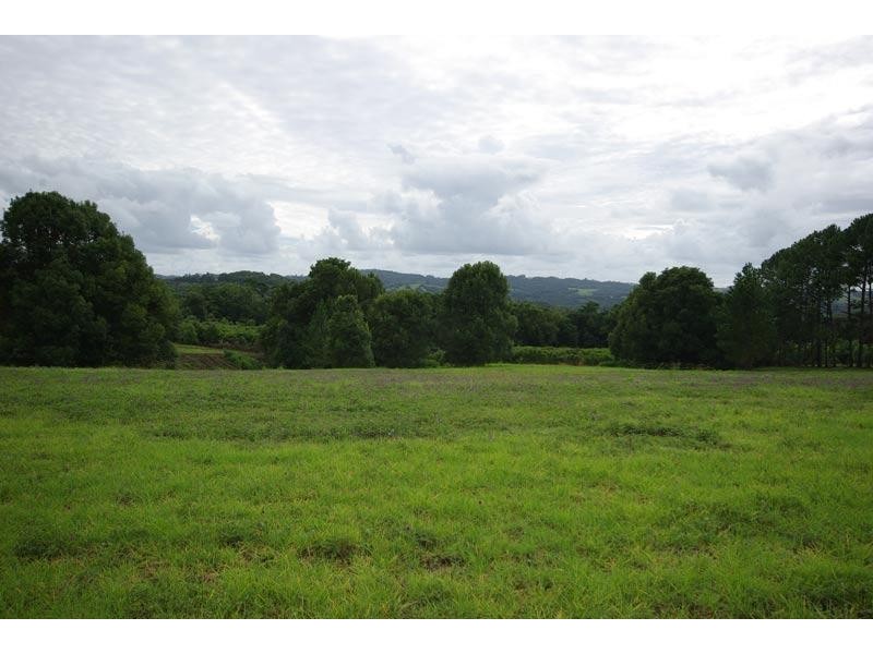 514 Rosebank Road, Rosebank NSW 2480