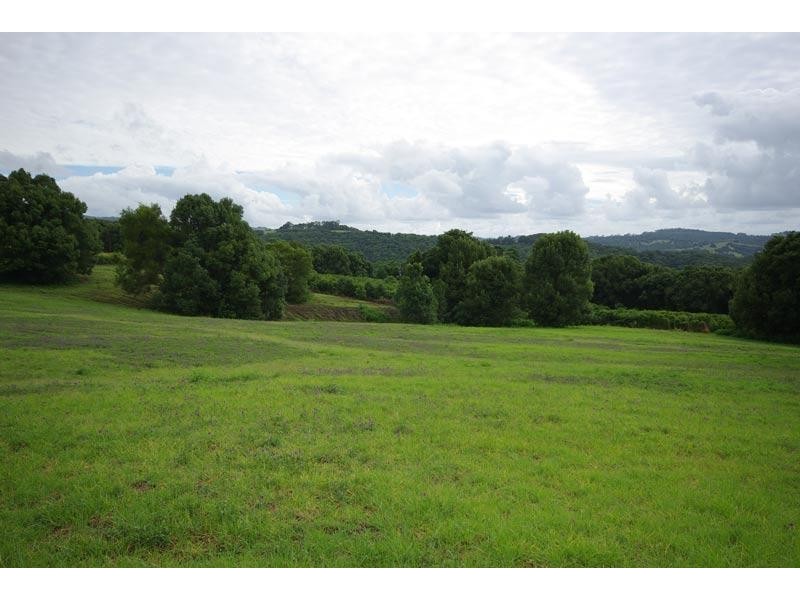 514 Rosebank Road, Rosebank NSW 2480