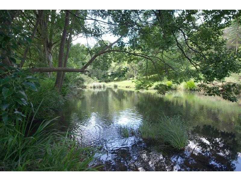 655 Wilsons Creek Road, Wilsons Creek NSW 2482