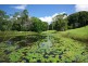 655 Wilsons Creek Road, Wilsons Creek NSW 2482