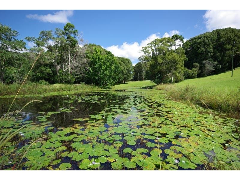 655 Wilsons Creek Road, Wilsons Creek NSW 2482