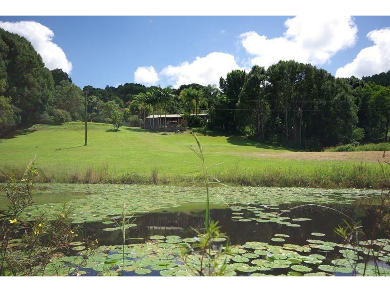 655 Wilsons Creek Road, Wilsons Creek NSW 2482