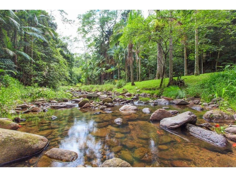 # 150 Upper Wilsons Creek Road, Upper Wilsons Creek NSW 2482