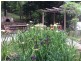 # 150 Upper Wilsons Creek Road, Upper Wilsons Creek NSW 2482