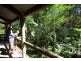 # 150 Upper Wilsons Creek Road, Upper Wilsons Creek NSW 2482