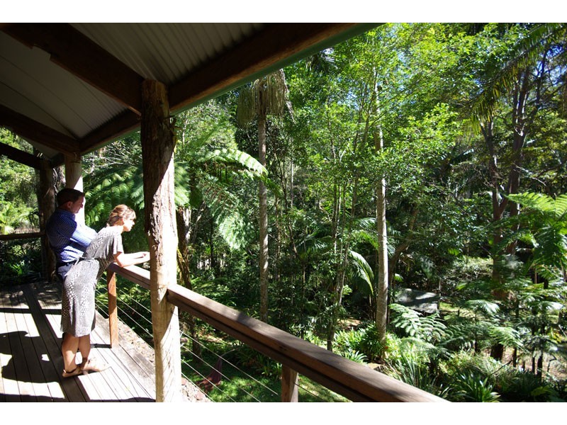 # 150 Upper Wilsons Creek Road, Upper Wilsons Creek NSW 2482