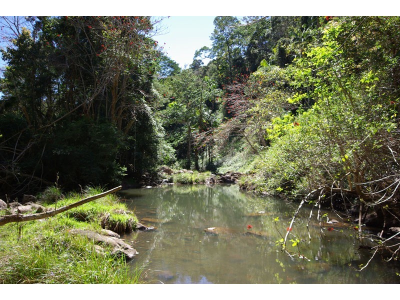 # 150 Upper Wilsons Creek Road, Upper Wilsons Creek NSW 2482