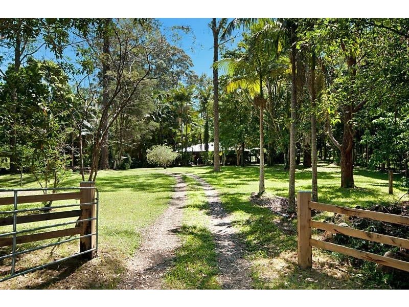 Wilsons Creek NSW 2482