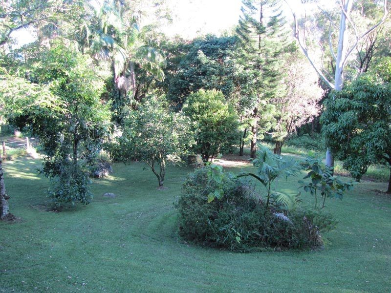 177 Huonbrook Road, Wilsons Creek NSW 2482