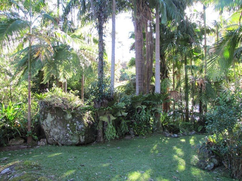 177 Huonbrook Road, Wilsons Creek NSW 2482