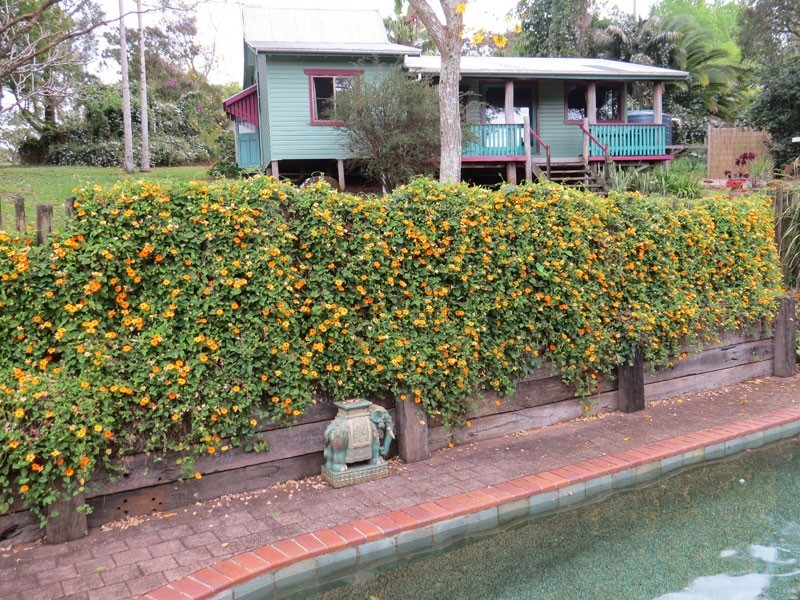 9 Byrangery Road, Rosebank NSW 2480