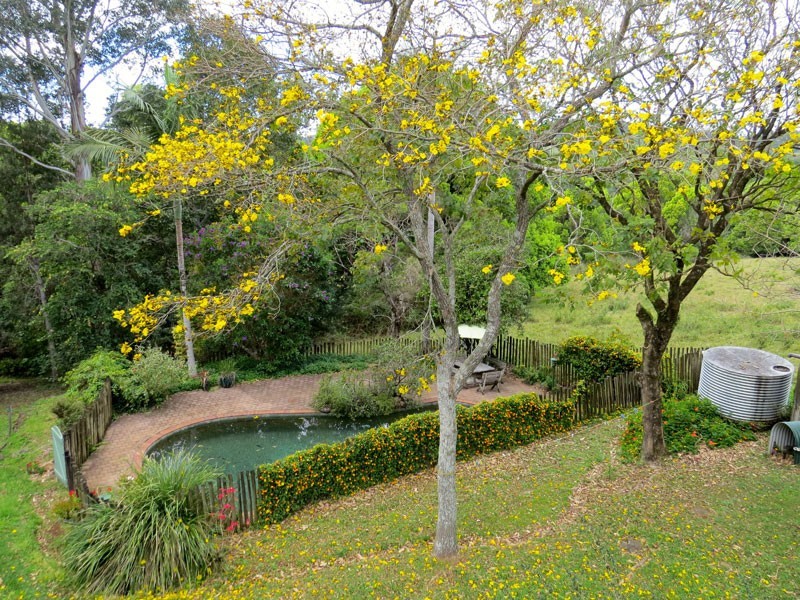 9 Byrangery Road, Rosebank NSW 2480