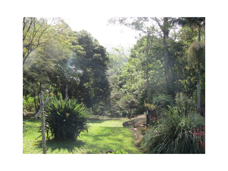 9 Byrangery Road, Rosebank NSW 2480