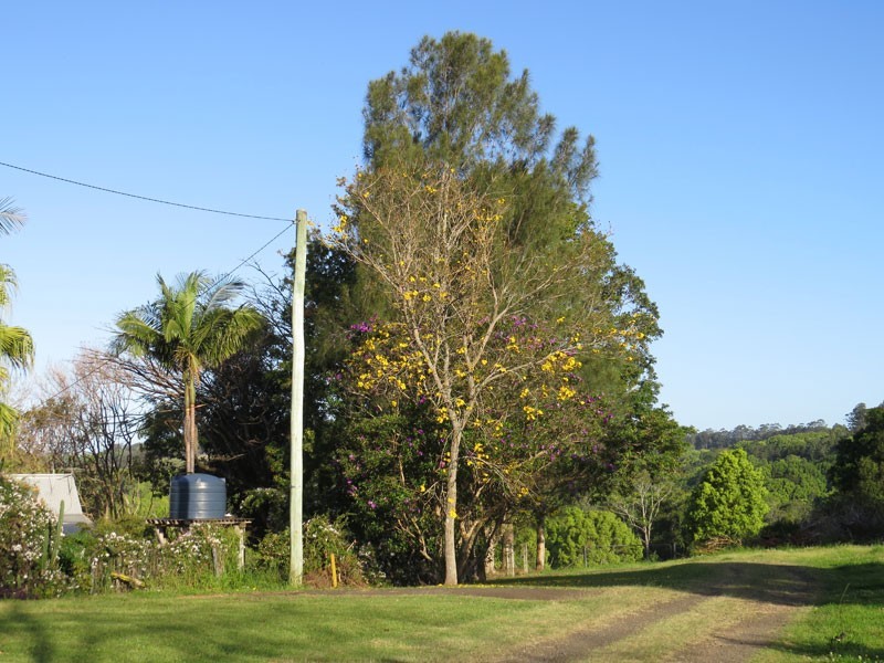 9 Byrangery Road, Rosebank NSW 2480