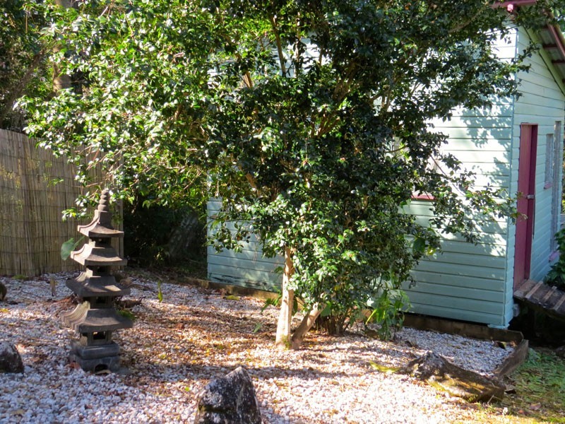 9 Byrangery Road, Rosebank NSW 2480