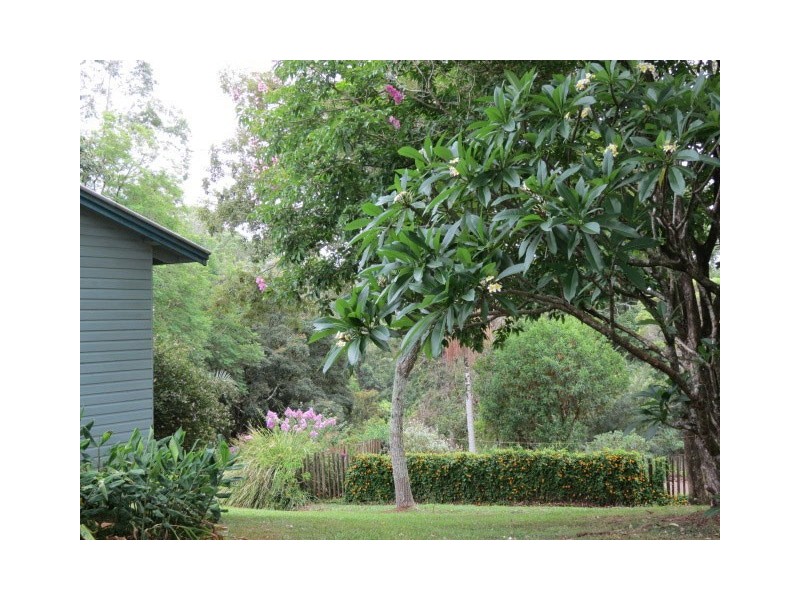 9 Byrangery Road, Rosebank NSW 2480