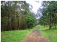 Coorabell NSW 2479
