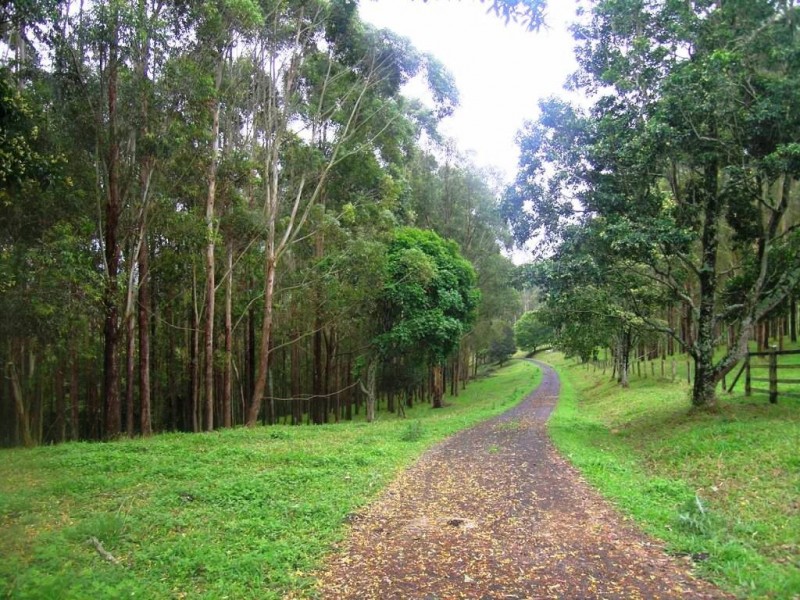 Coorabell NSW 2479
