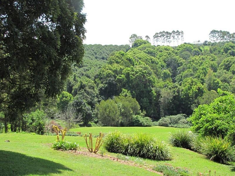 60 Fairview Road, Rosebank NSW 2480