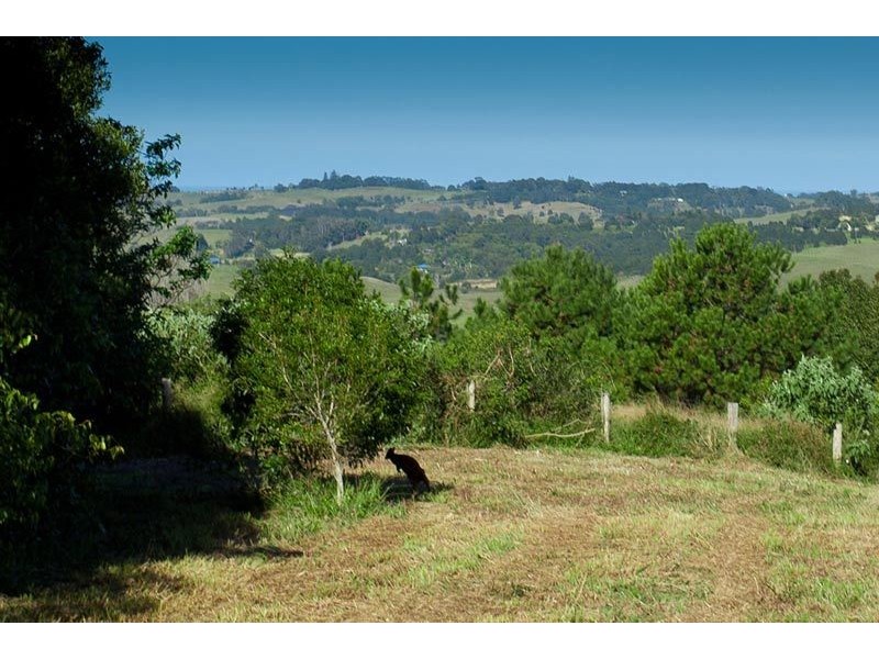 Lot 1 Pacific Highway, Bangalow NSW 2479