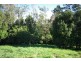 #17 Byrne Road, Rosebank NSW 2480